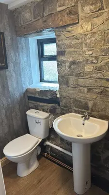 a bathroom with a toilet and a sink at Cosy Pubs Bed & Breakfast in Rhayader