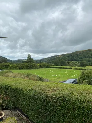 a field of sheep in a field with a car at Rosehill annexe in Knighton