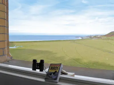 a window with a view of a field and the ocean at Sea View in Rhyd-y-felin