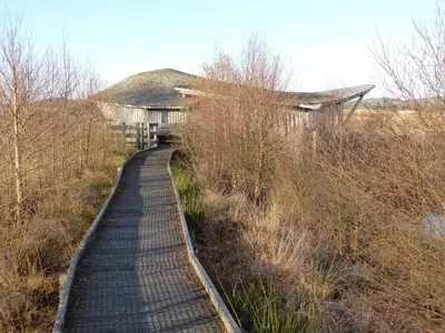 a wooden boardwalk in front of a building at Ivy Bush Cottage in Llanddewi-Brefi