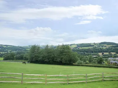 a horse in a field next to a fence at The Lodge in Presteigne