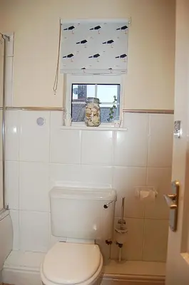 a bathroom with a toilet and a window with fish on it at Saint Cadfans Lodge in Tywyn