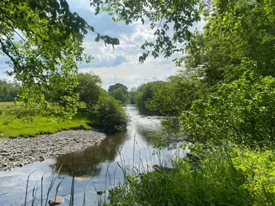 a river with trees on the side of it at Bronfelin & Troed-y-Rhiw Holiday Cottage in Llanwrtyd Wells