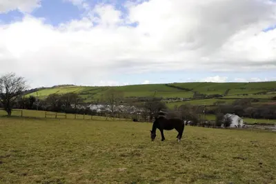 a horse grazing in a field of grass at Bro Dafydd in Aberystwyth