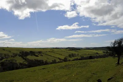 a green field with a tree on a hill at Bro Dafydd in Aberystwyth