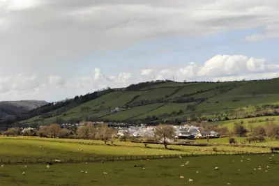 a green field with sheep grazing in a field at Bro Dafydd in Aberystwyth