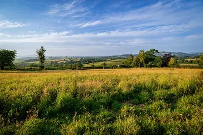 a field of grass with trees and a blue sky at Irfon Cottage in Builth Wells