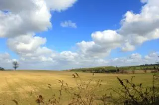 a field of grass with a blue sky and clouds at Parrs cottage in Wollaston