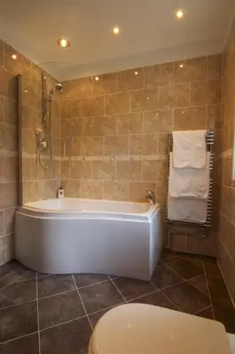 a bathroom with a tub and a toilet at Dolffanog Fawr in Tal-y-llyn