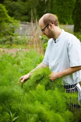 a man standing in a field of grass at Riverside Inn, Aymestrey in Aymestrey