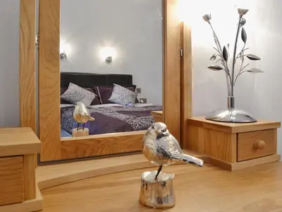 a bird sitting on a log in front of a mirror at Maes Rheidol in Capel Bangor