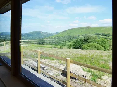 a window with a view of a sheep in a field at Gorsddu in Llanwrthwl