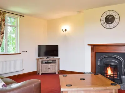 a living room with a tv and a fireplace at Cefnaire in Newtown