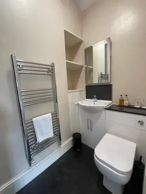 a bathroom with a white toilet and a sink at Bwch yn Uchaf B&B in Llanuwchllyn