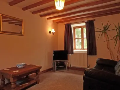a living room with a couch and a television at Granar Gynolwyn in Abergynolwyn