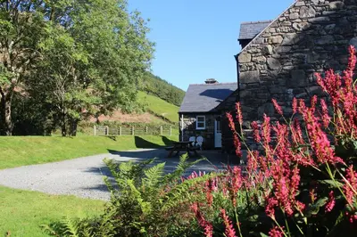 a stone cottage with red flowers in front of it at Granar Gynolwyn in Abergynolwyn