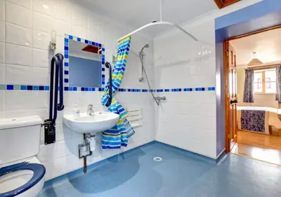a bathroom with a toilet and a sink at Hen Ysgubor in Lampeter
