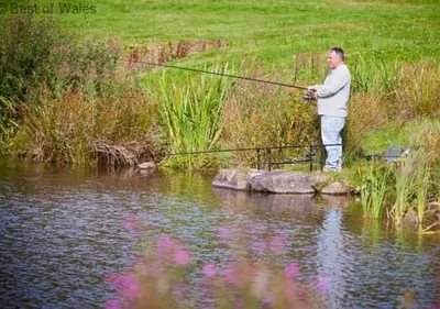 a man standing on a rock fishing in a pond at Hen Ysgubor in Lampeter
