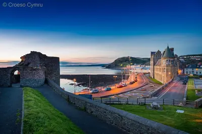 a view of a city with a castle and a street at Llety'r Buarth in Talybont