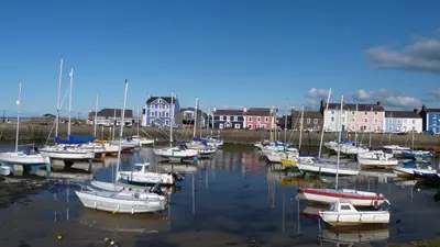 a bunch of boats are docked in a harbor at Ty Clyd in Cross Inn