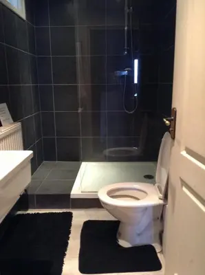 a bathroom with a shower with a toilet and a sink at Half Moon House in Hay-on-Wye