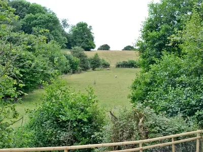 a field with a herd of animals in the distance at Mill Cottage in Peterchurch