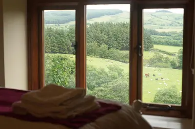 a window with a view of a field of sheep at Foel Fach in Talerddig