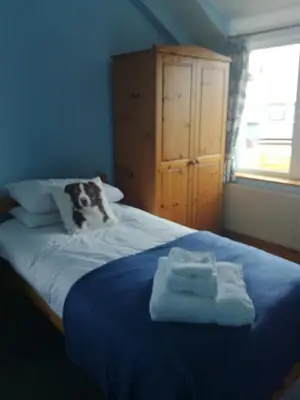 a bedroom with a bed with two towels on it at Ty Newydd in Llangadog