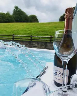 a bottle of wine sitting next to a wine glass at Sunnyside farmstay & hottub near Brecon Beacons sleeps 8 in Lower Chapel