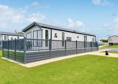 a dog is walking in front of a house at Pencnwc Holiday Park in Llanllwchaiarn