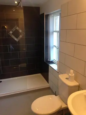a bathroom with a toilet and a shower and a sink at The Elephant & Castle Hotel in Newtown