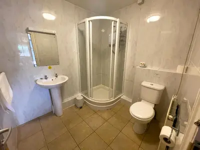 a bathroom with a shower and a toilet and a sink at Llanina Arms in Llanarth