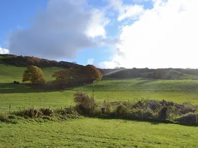 a green field with trees in the distance at Tyllwyd Farmhouse in Capel Bangor