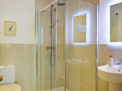 a bathroom with a shower and a toilet and a sink at Tyllwyd Farmhouse in Capel Bangor