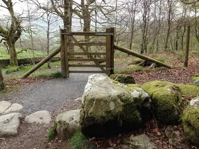 a wooden gate in a forest with rocks and trees at Snowdonia Snug - Studio Style Accommodation in Dolgellau
