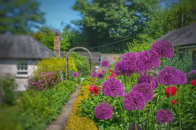 a garden with purple flowers in front of a house at Pen-Y-Dyffryn Country Hotel in Oswestry