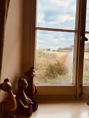 three toy animals looking out of a window at The Falcondale Country House Hotel in Lampeter