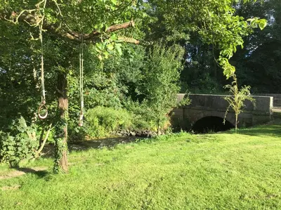 a tree in a field next to a tunnel at Maesbury Riverside in Oswestry