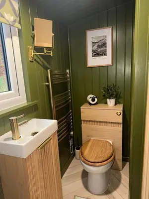 a green bathroom with a toilet and a sink at Cegir Escapes in Darowen