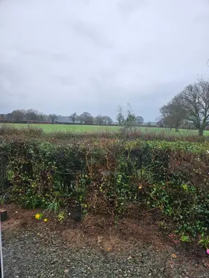 a field with a bunch of plants growing in it at Ruth's Rest Country Retreat with private Hot Tub & Views of Open Countryside in Shrewsbury