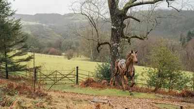 a horse running in a field next to a fence at Palé Hall in Bala
