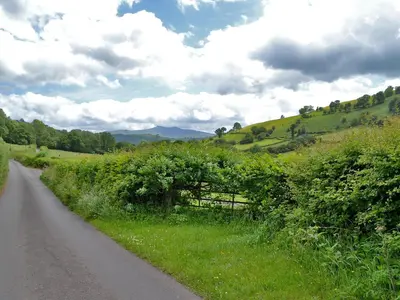a dirt road in the middle of a field at Upper Ffinnant in Aber-Brân