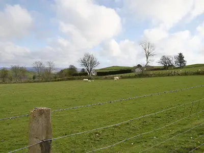 a fence in a field with animals in the distance at Bryntrisant in Devils Bridge