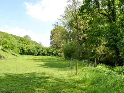 a field of grass with a fence and trees at Burrills View in Horderley