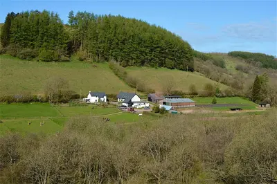 a farm with a group of animals in a field at Barn Cottage in Brecon