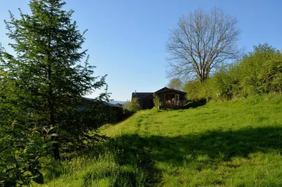 a house on a hill with a tree in a field at Log Cabin in Brecon