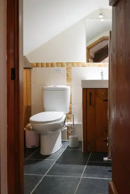 a bathroom with a toilet and a sink at Vale Farm Cottages in Brecon