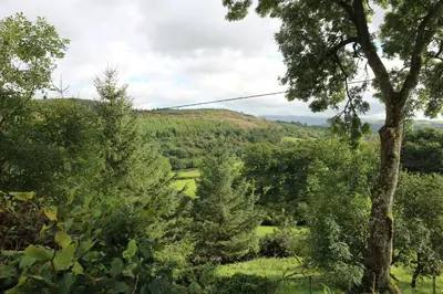 a view of a hill with trees in a field at Beautiful 16th Century Ty Cerrig Cottage, set in stunning grounds with great views in Corwen