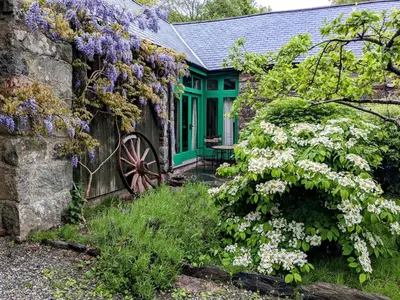 a house with a wreath of purple flowers on it at Yr Hen Feudy in Barmouth