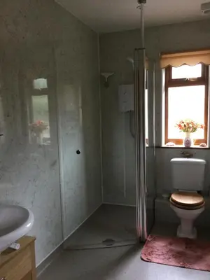 a bathroom with a shower and a toilet and a window at Carinya in Talgarth